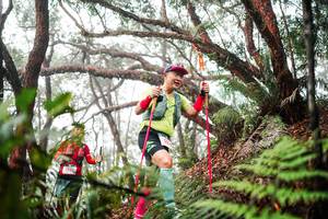 BIB: 
                            <button type="button" onclick="openModal(26299348)" class="btn btn-primary btn-sm float-right btn-popup" data-toggle="modal" data-target=".modal-high-quality">
                        <i class="fas fa-shopping-cart"></i> Add to Cart
                    </button>
                                            <button type="button" onclick="isThisMe(26299348, true)" class="btn btn-success btn-sm float-right btn-popup btn-isme hidden" data-toggle="tooltip" data-placement="bottom" title="นี่คือรูปของคุณใช่ไหม คลิกที่นี่เพื่อเอาเข้าอัลบั้ม">
                        <i class="fas fa-plus"></i> Add to album
                    </button>
                    <button type="button" onclick="isThisMe(26299348, false)" class="btn btn-warning btn-sm float-right btn-popup btn-isnotme hidden">
                        <i class="fas fa-ban"></i> Remove from album
                    </button>